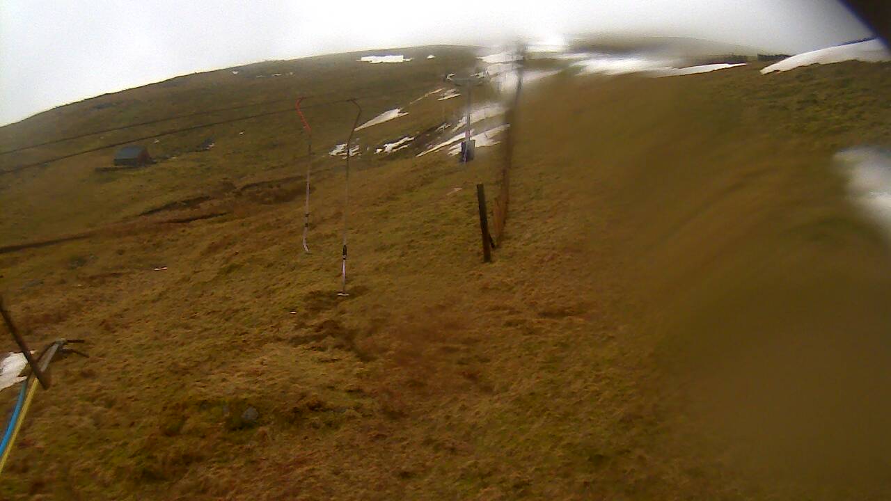 Image from 2022/03/10 for Tow Hut