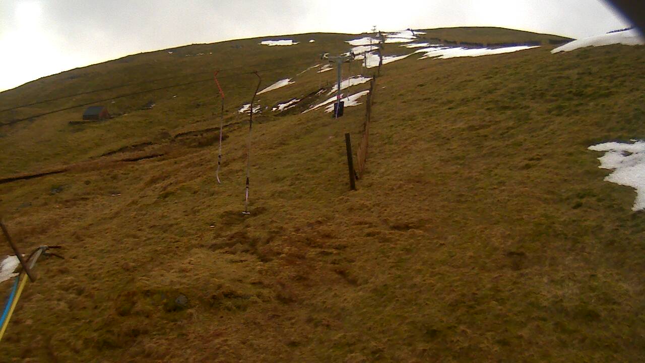 Image from 2022/03/10 for Tow Hut