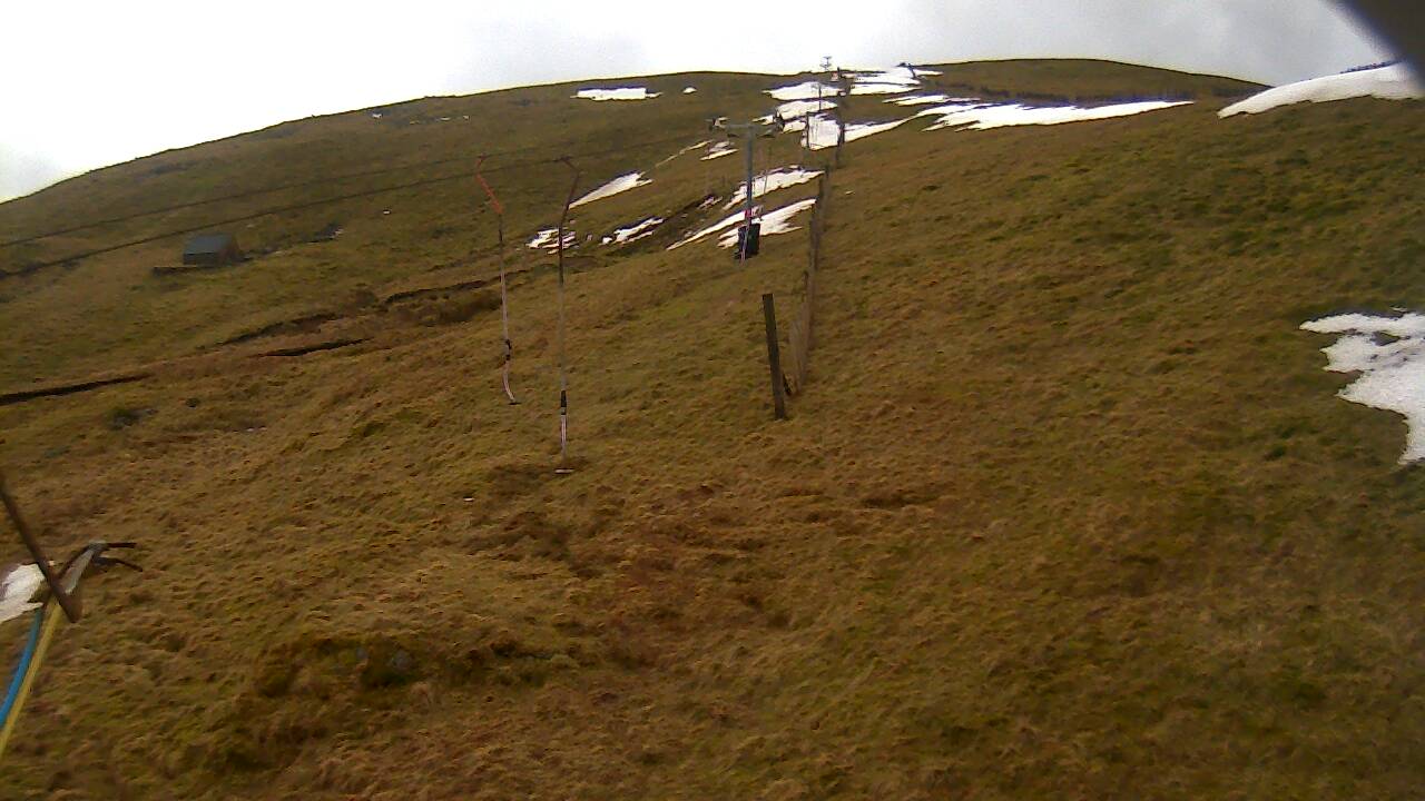 Image from 2022/03/10 for Tow Hut