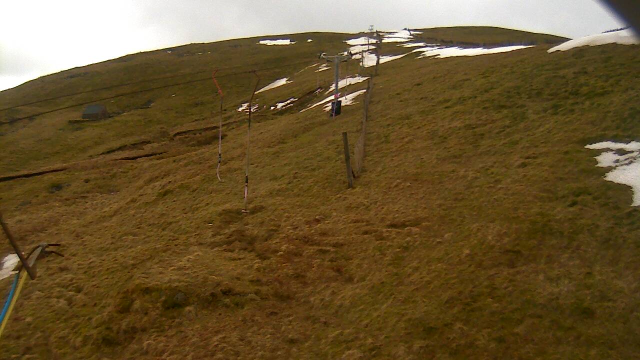 Image from 2022/03/10 for Tow Hut