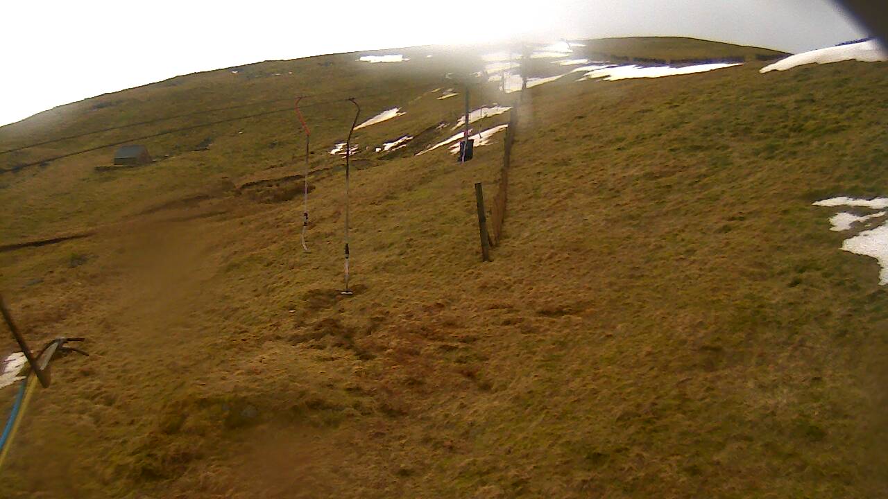 Image from 2022/03/10 for Tow Hut