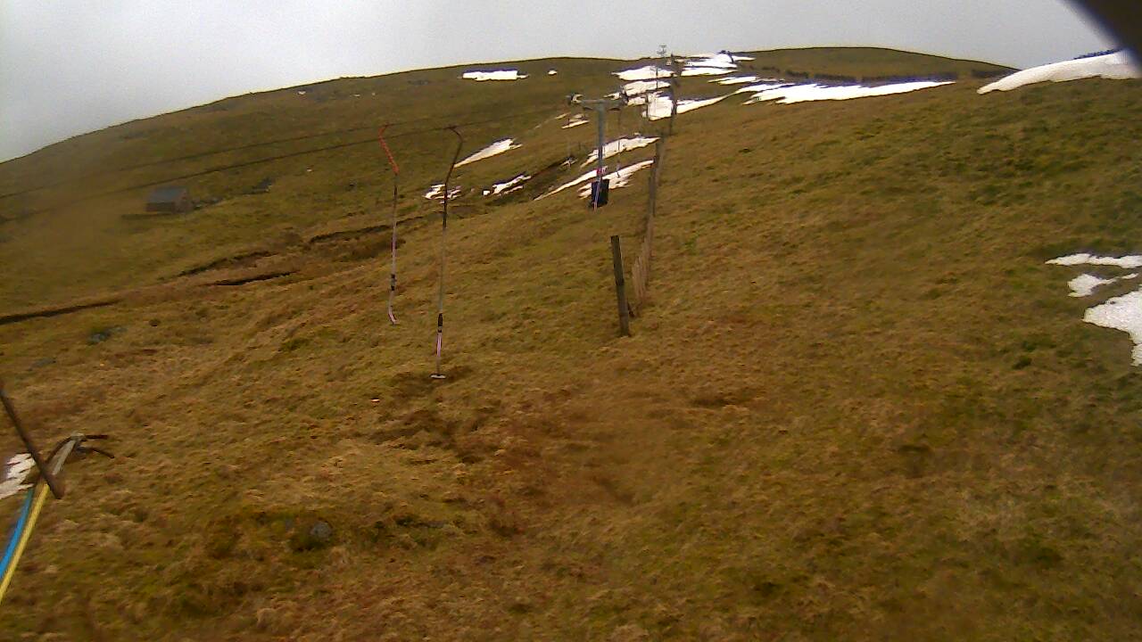 Image from 2022/03/10 for Tow Hut