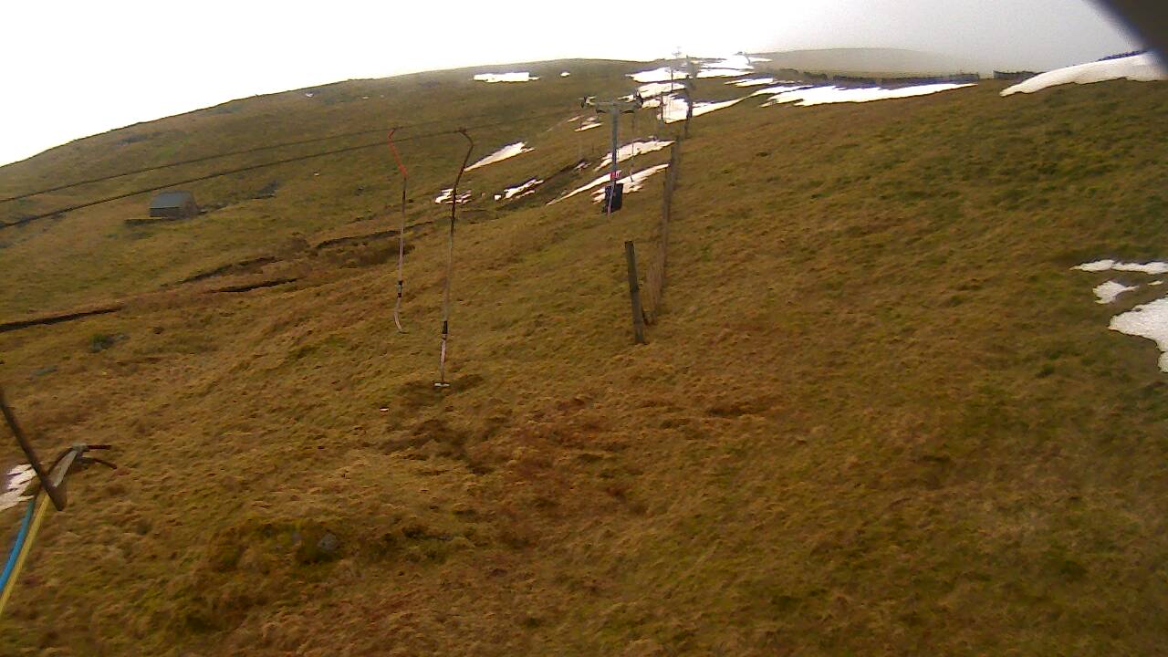 Image from 2022/03/10 for Tow Hut