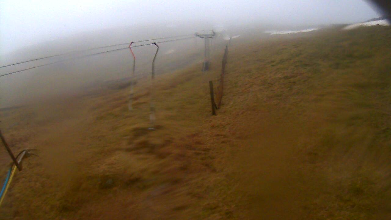 Image from 2022/03/12 for Tow Hut