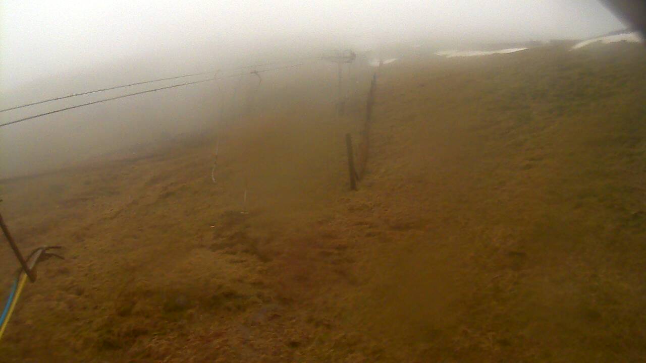 Image from 2022/03/12 for Tow Hut