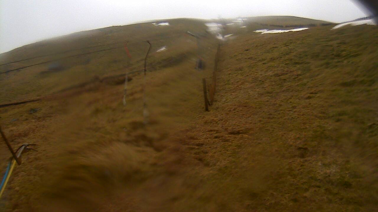 Image from 2022/03/12 for Tow Hut