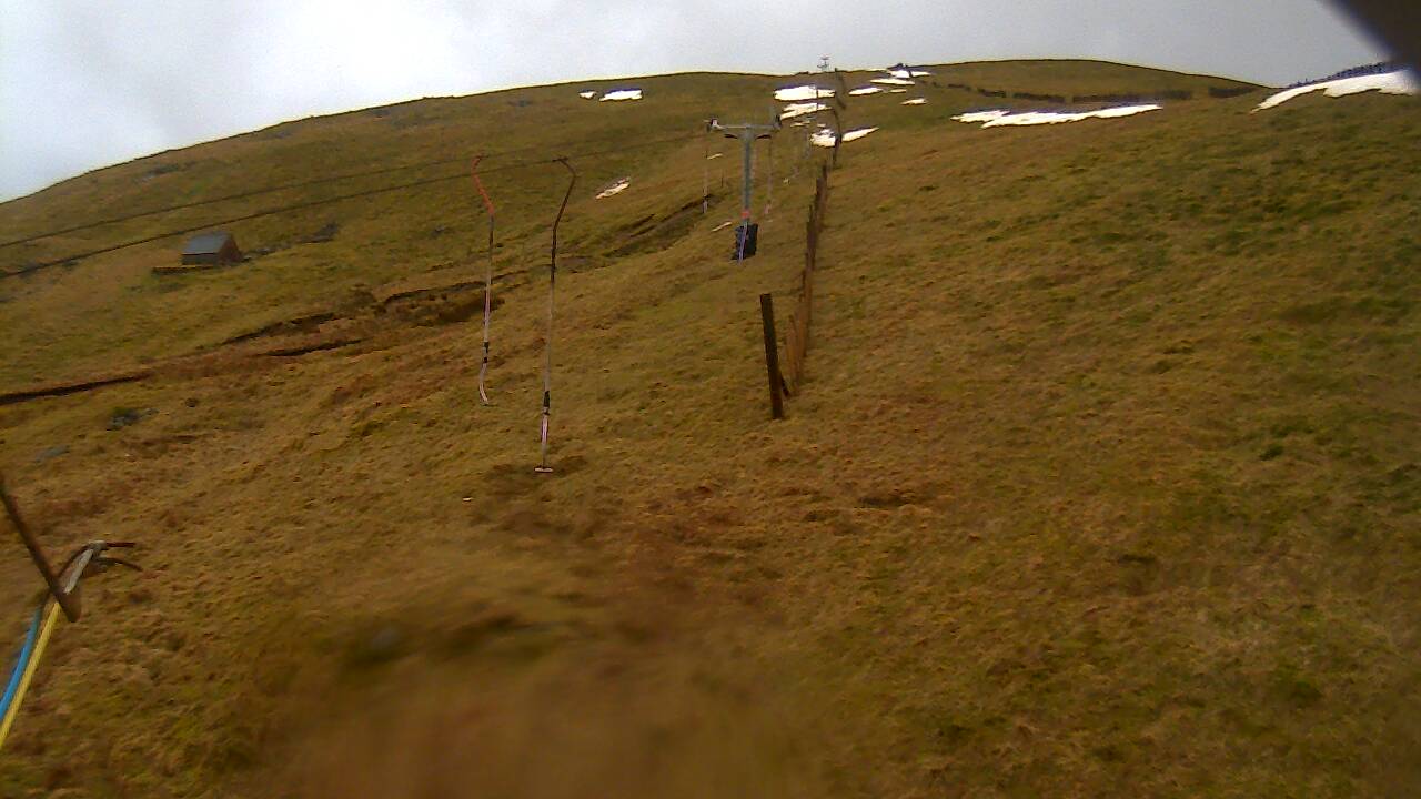 Image from 2022/03/12 for Tow Hut