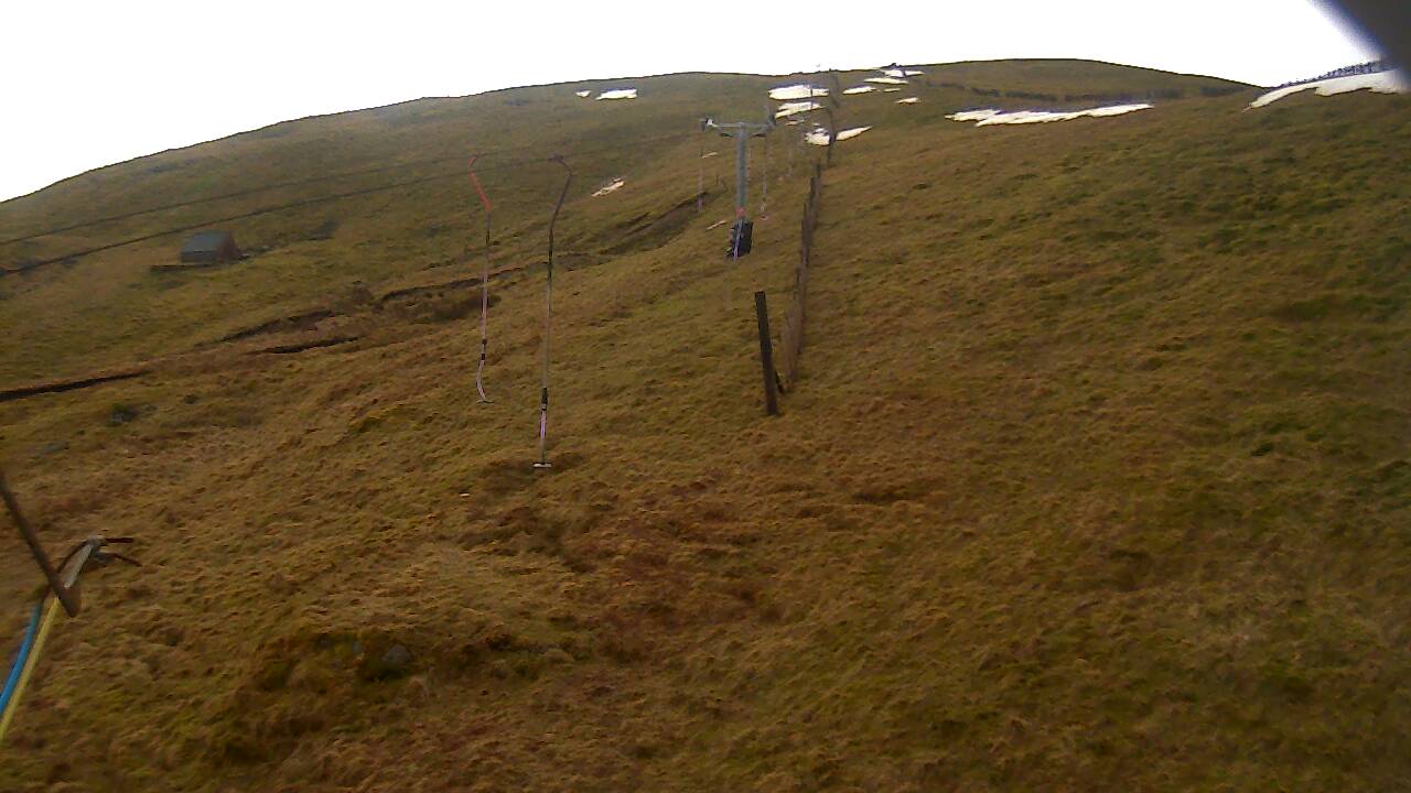 Image from 2022/03/12 for Tow Hut