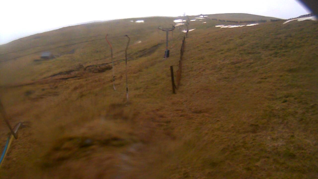 Image from 2022/03/13 for Tow Hut