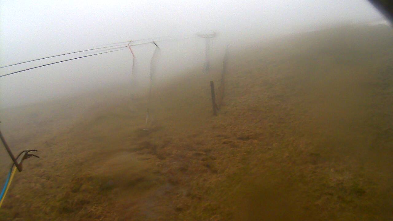 Image from 2022/03/13 for Tow Hut