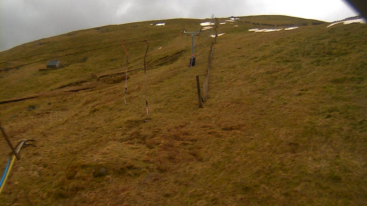 Image from 2022/03/13 for Tow Hut