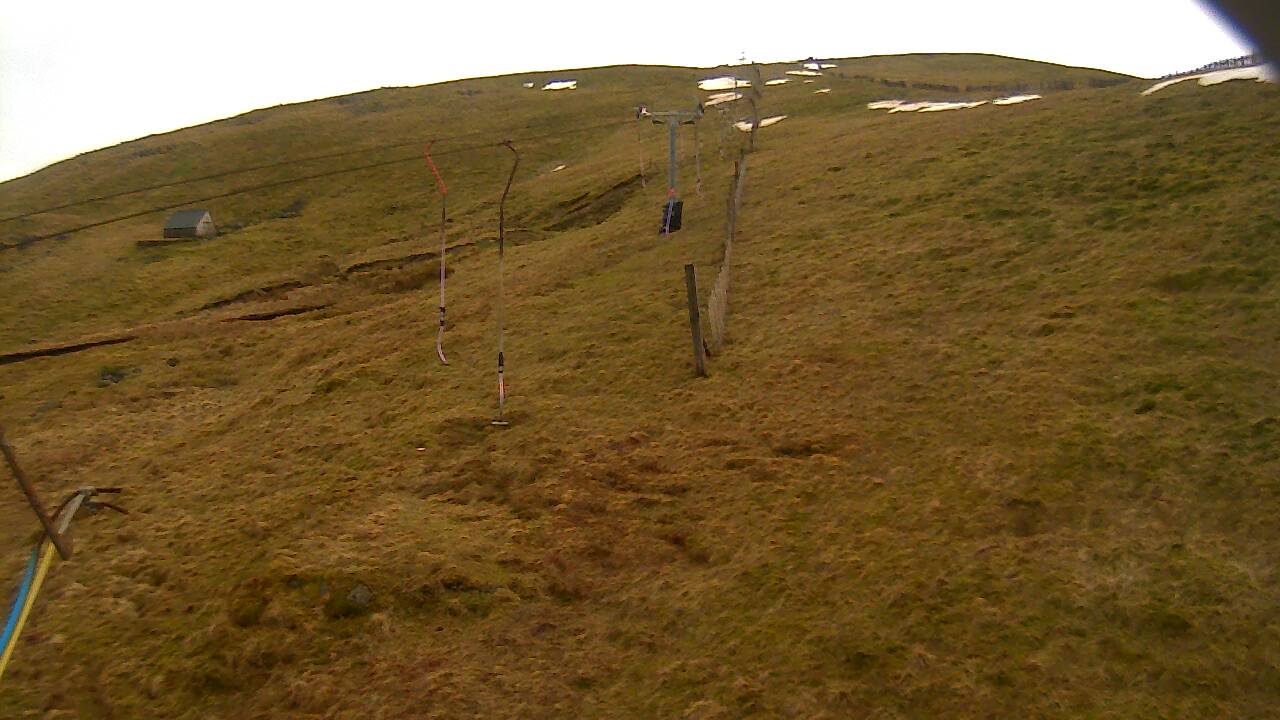 Image from 2022/03/13 for Tow Hut