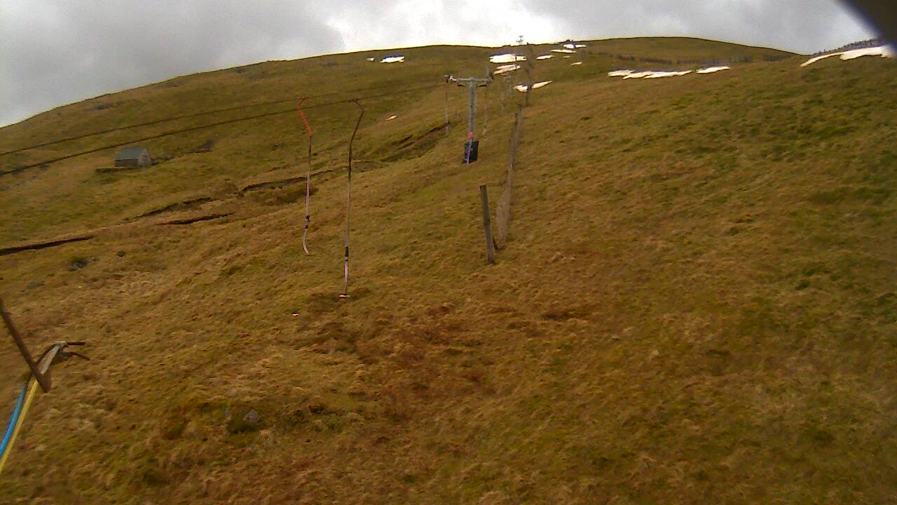 Image from 2022/03/13 for Tow Hut