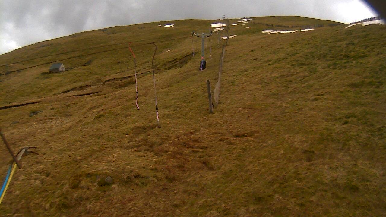 Image from 2022/03/13 for Tow Hut