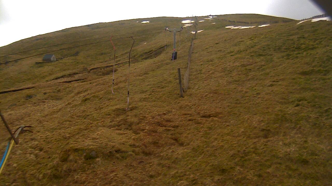 Image from 2022/03/13 for Tow Hut