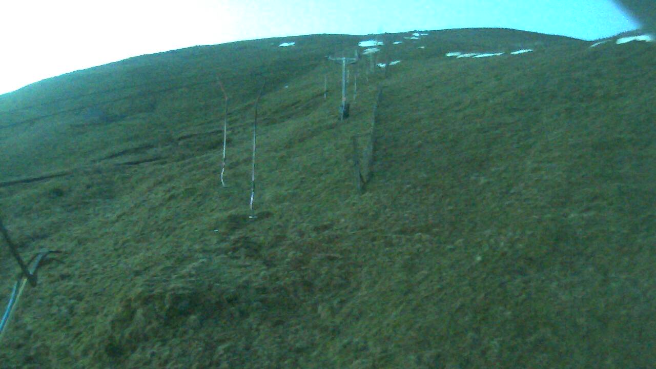 Image from 2022/03/14 for Tow Hut