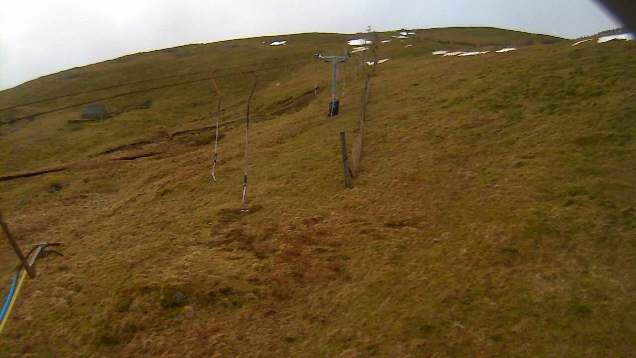 Image from 2022/03/14 for Tow Hut