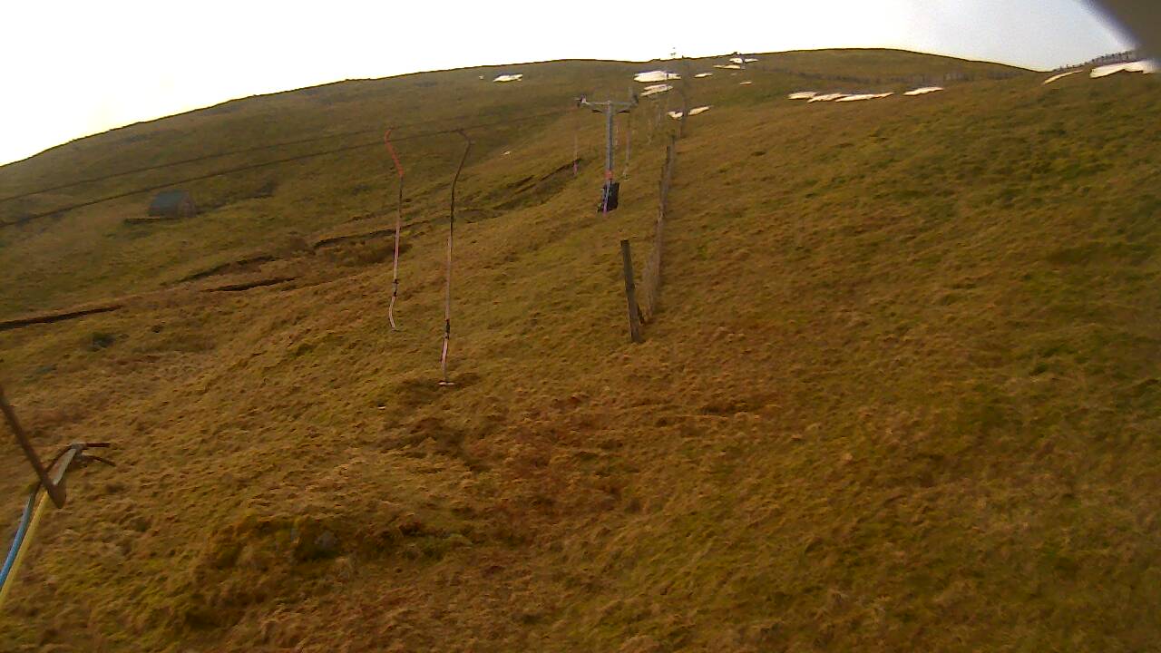 Image from 2022/03/14 for Tow Hut