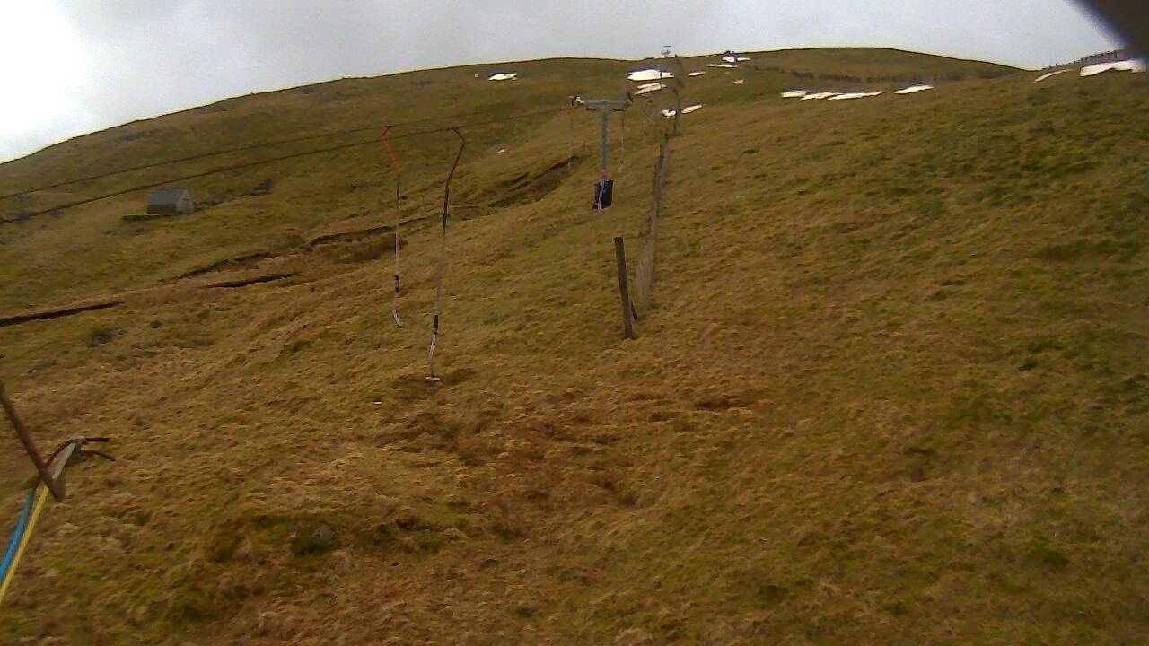 Image from 2022/03/14 for Tow Hut