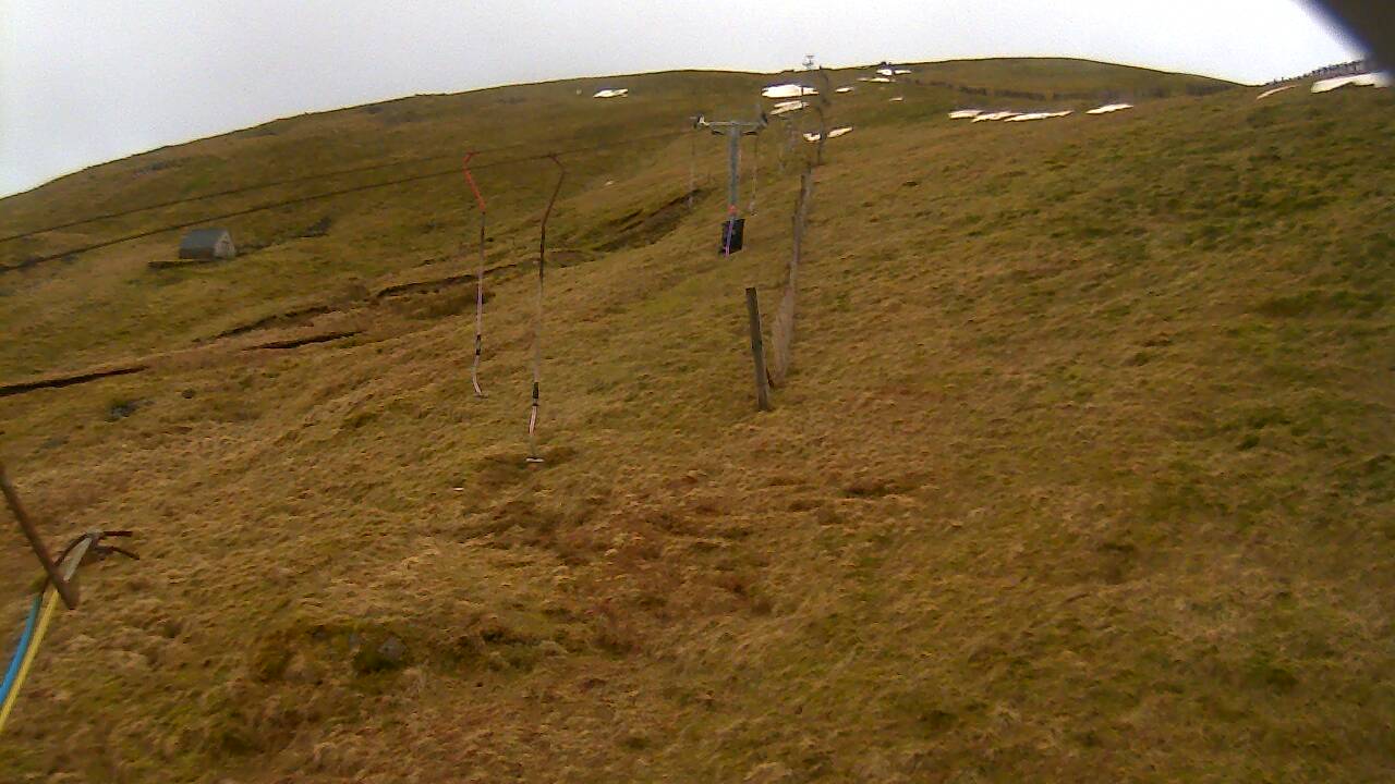 Image from 2022/03/14 for Tow Hut