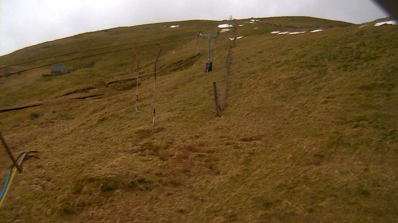 Image from 2022/03/14 for Tow Hut