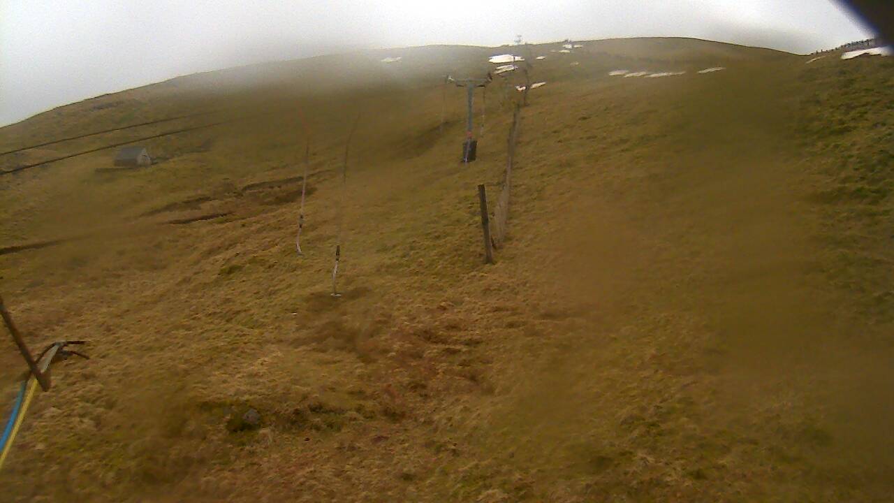 Image from 2022/03/14 for Tow Hut