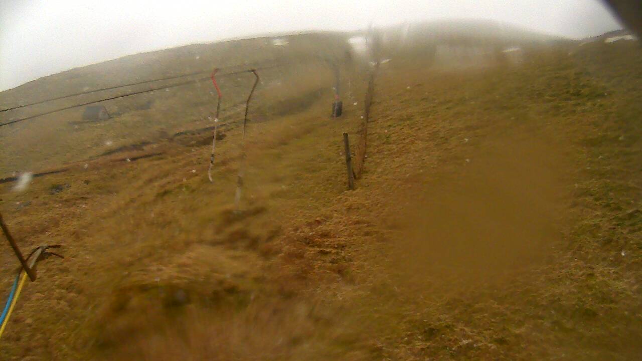 Image from 2022/03/14 for Tow Hut