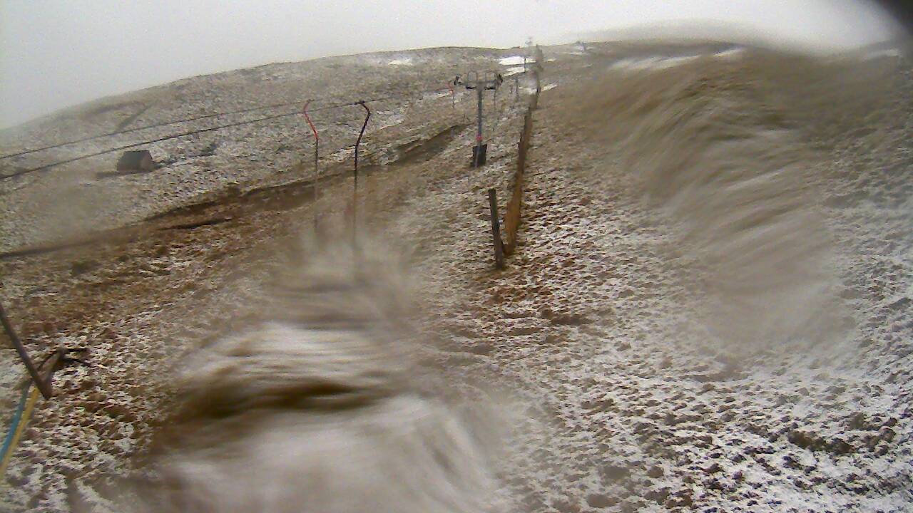 Image from 2022/03/14 for Tow Hut