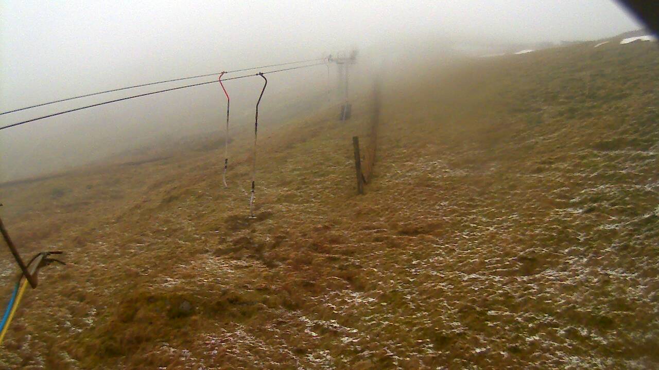 Image from 2022/03/14 for Tow Hut