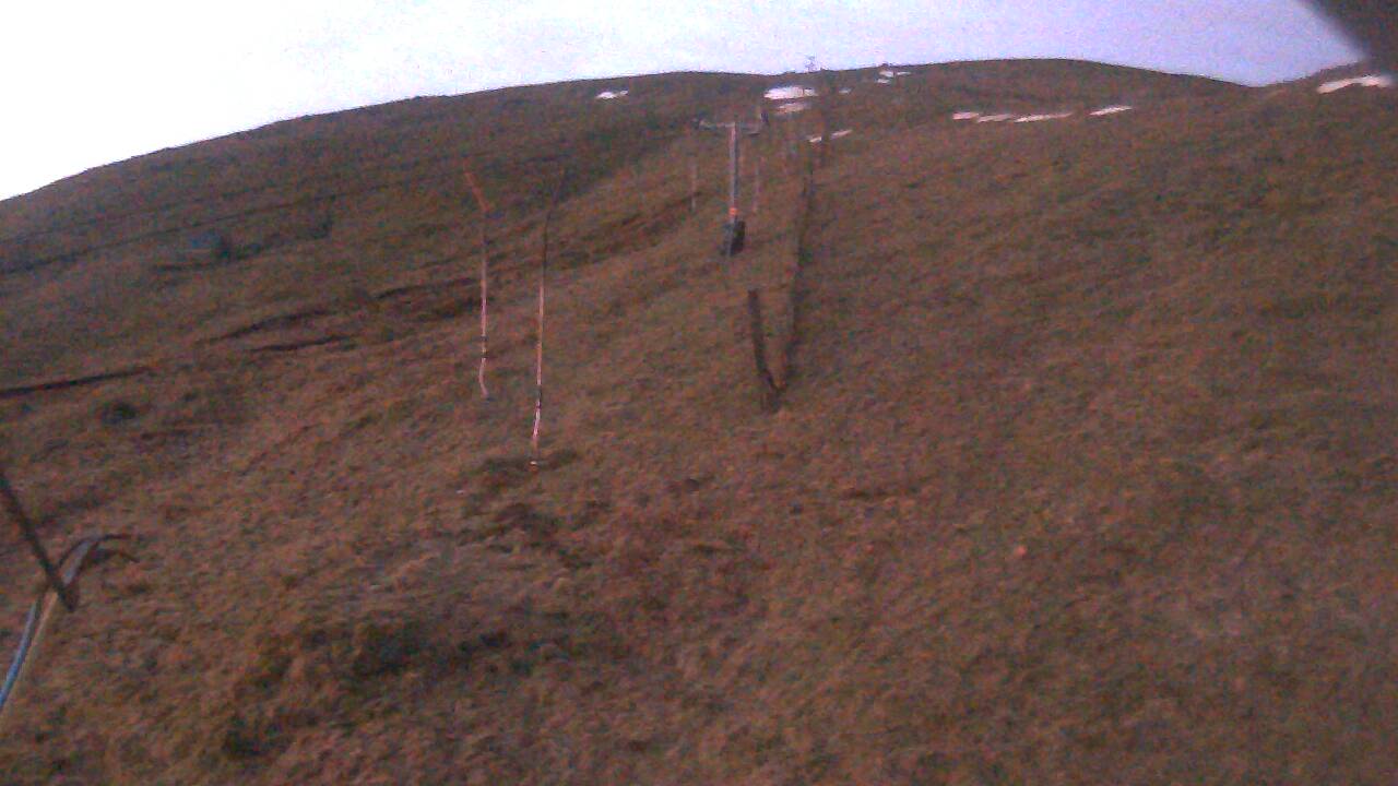 Image from 2022/03/15 for Tow Hut