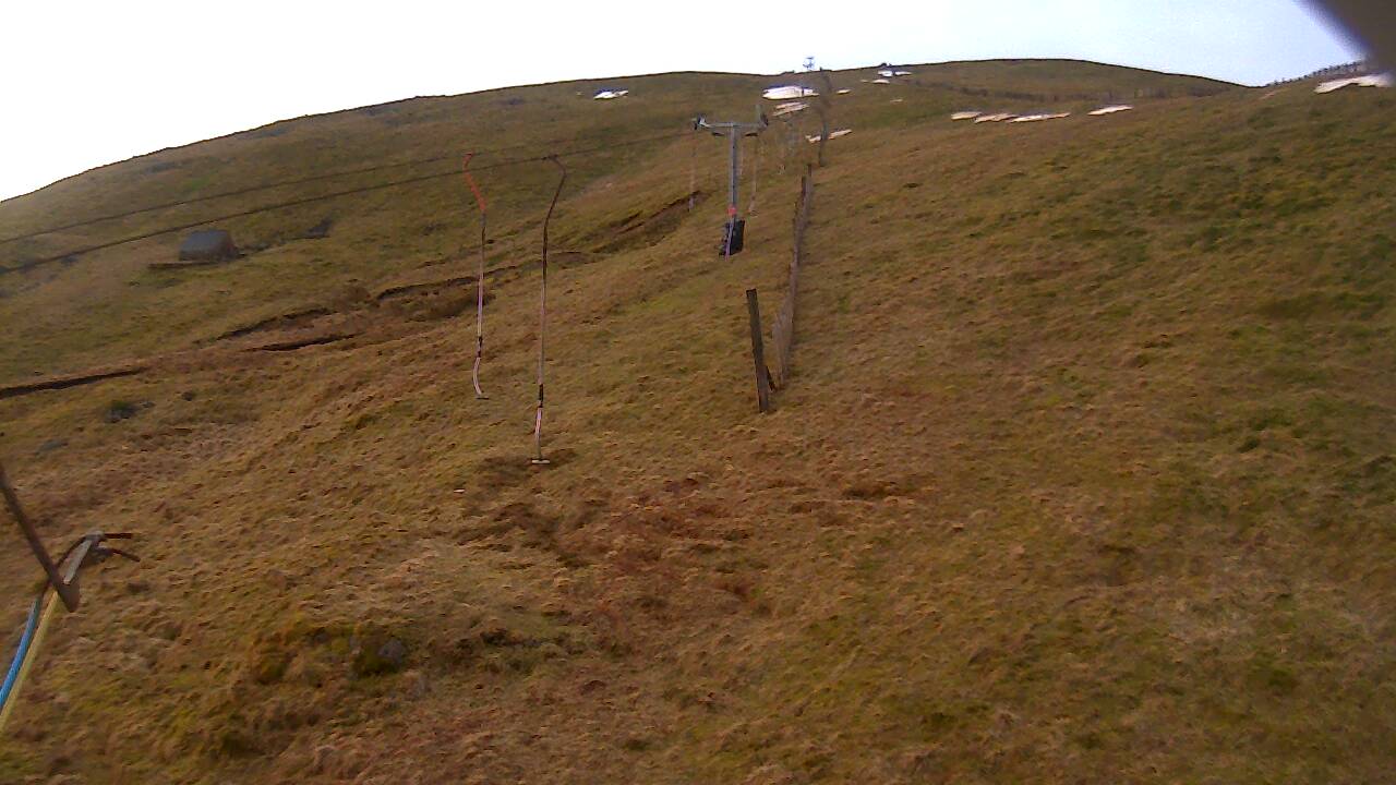 Image from 2022/03/15 for Tow Hut