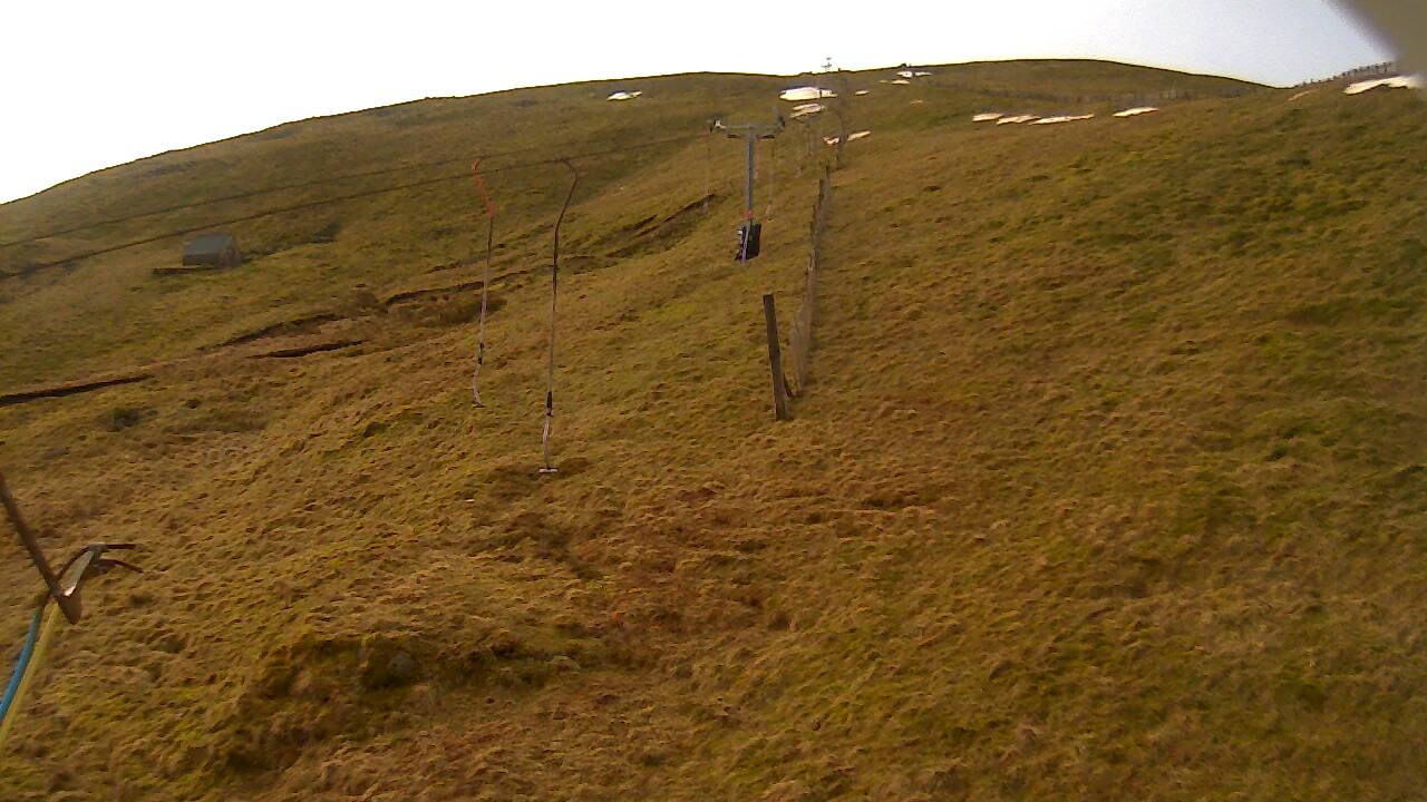 Image from 2022/03/15 for Tow Hut