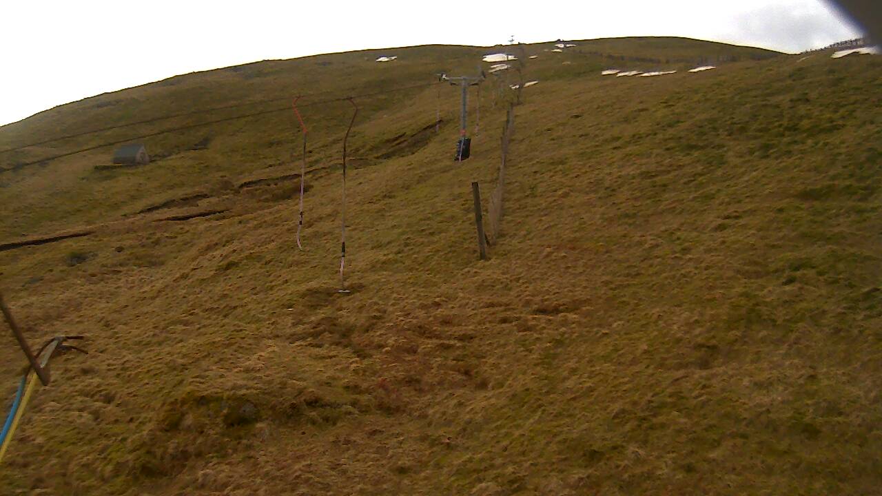 Image from 2022/03/15 for Tow Hut