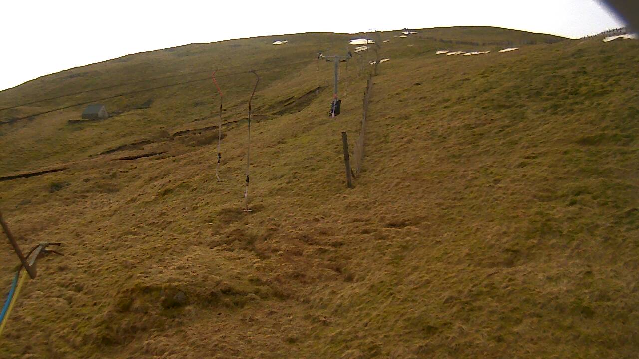 Image from 2022/03/15 for Tow Hut