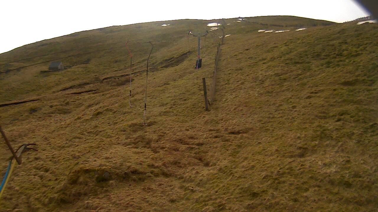 Image from 2022/03/15 for Tow Hut