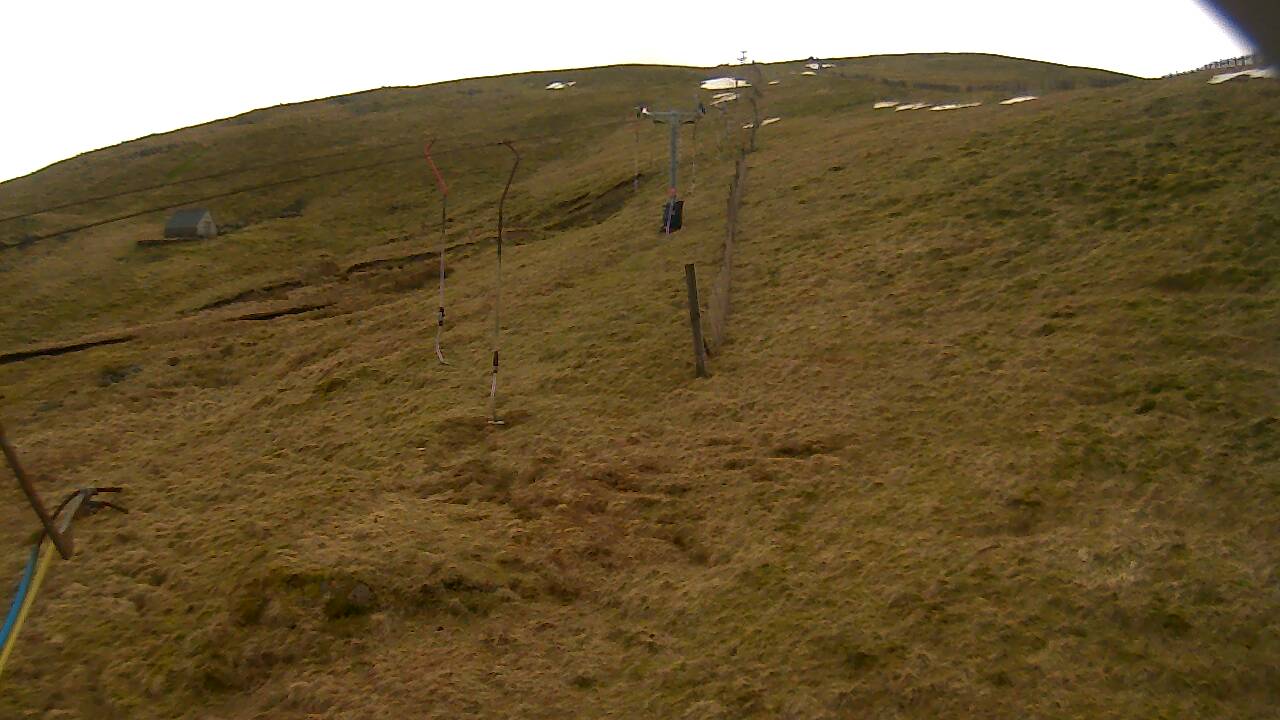 Image from 2022/03/15 for Tow Hut