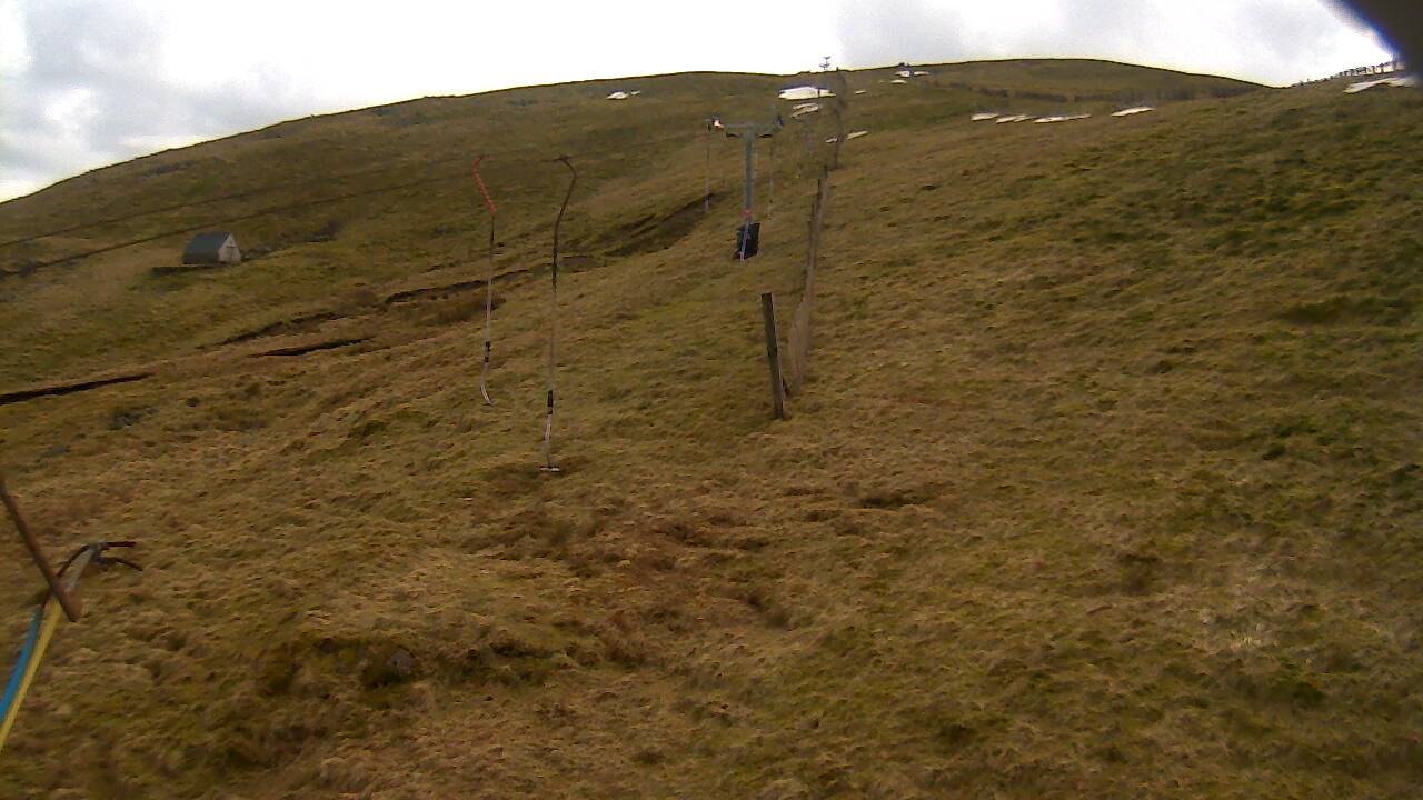 Image from 2022/03/15 for Tow Hut