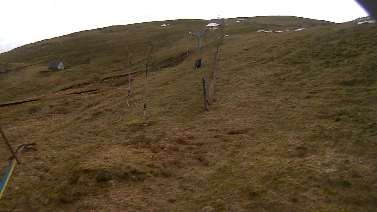 Image from 2022/03/15 for Tow Hut