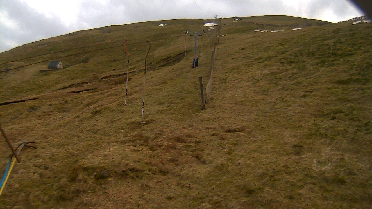 Image from 2022/03/15 for Tow Hut