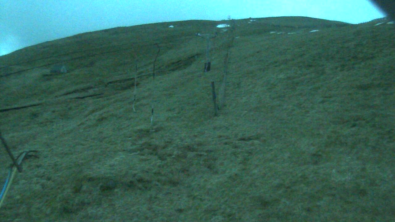 Image from 2022/03/16 for Tow Hut