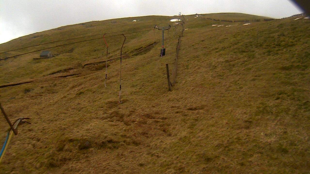 Image from 2022/03/16 for Tow Hut