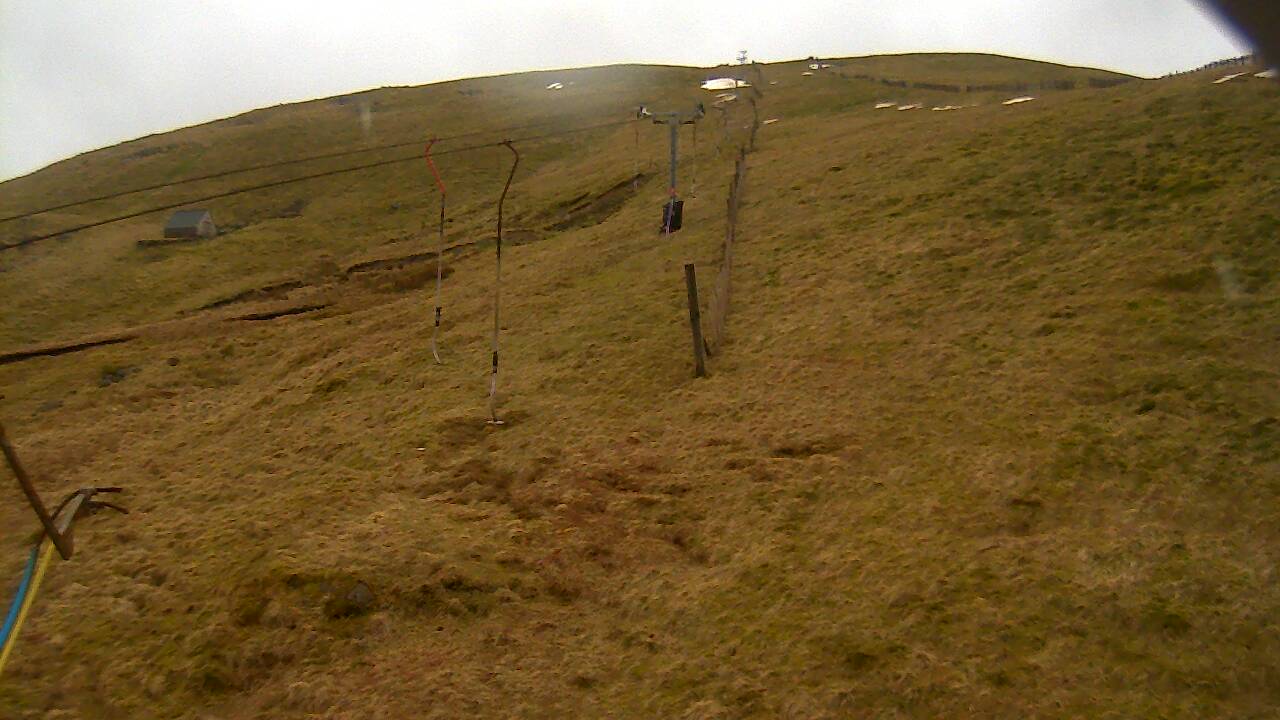 Image from 2022/03/16 for Tow Hut