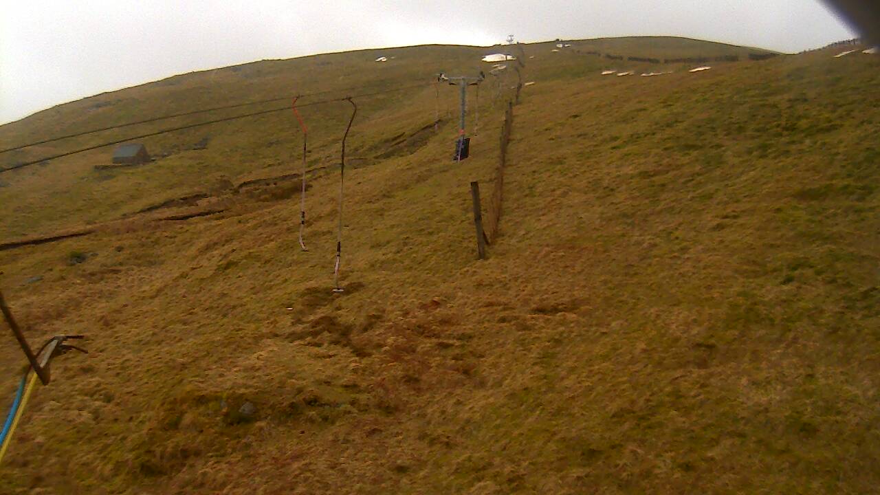 Image from 2022/03/16 for Tow Hut