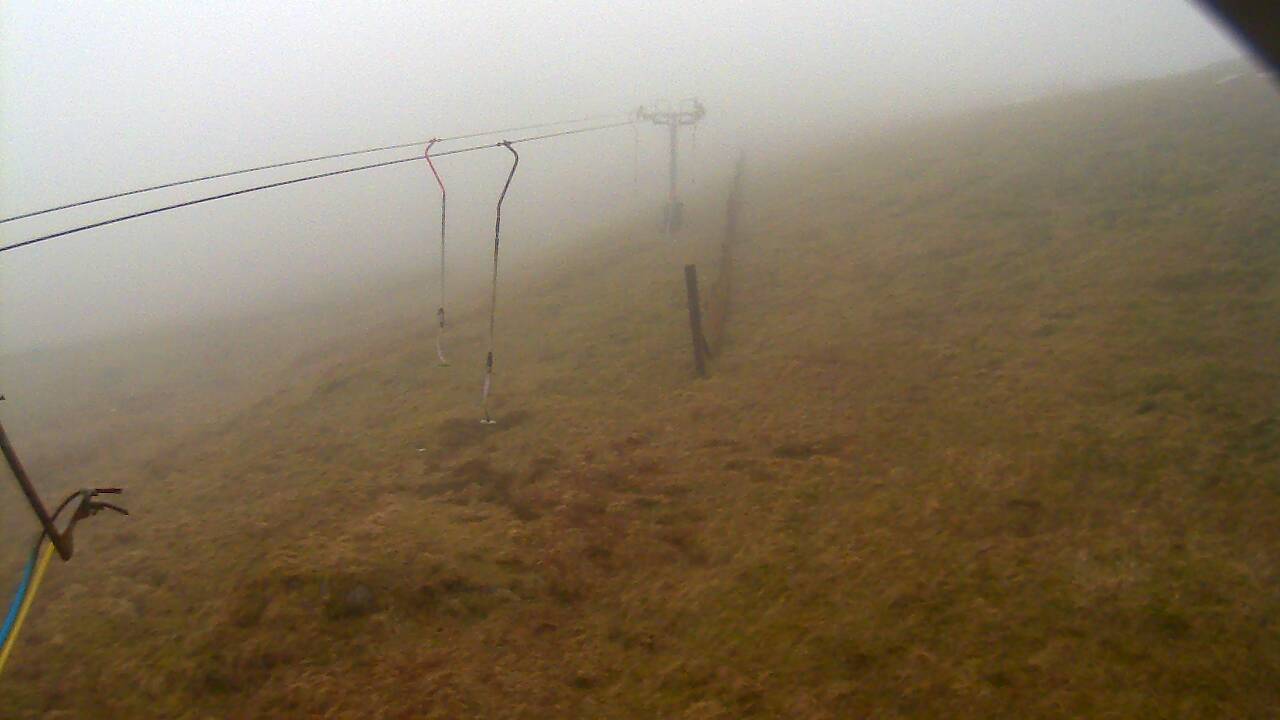 Image from 2022/03/16 for Tow Hut