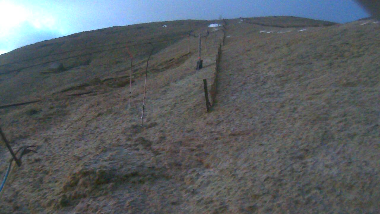 Image from 2022/03/17 for Tow Hut