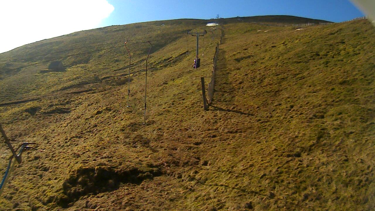 Image from 2022/03/18 for Tow Hut