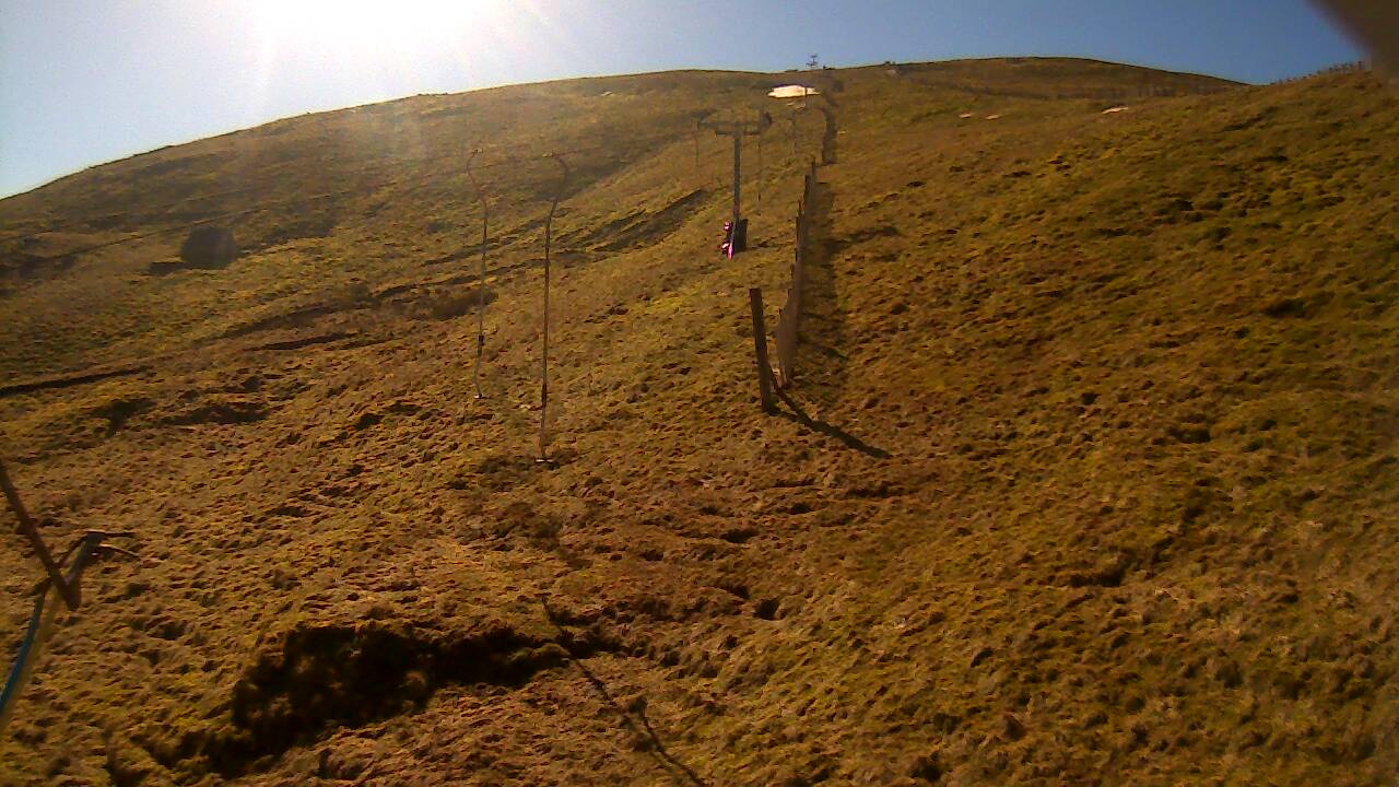 Image from 2022/03/18 for Tow Hut