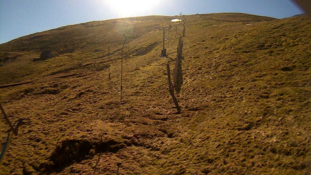 Image from 2022/03/18 for Tow Hut