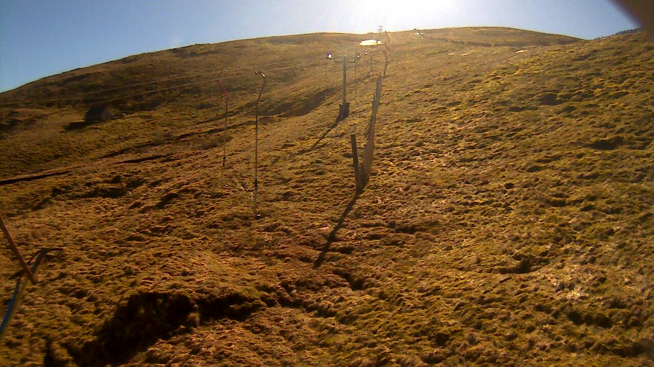 Image from 2022/03/18 for Tow Hut