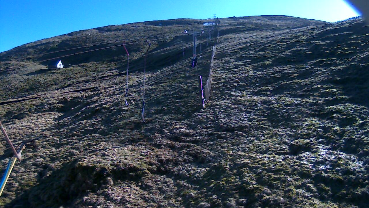 Image from 2022/03/18 for Tow Hut